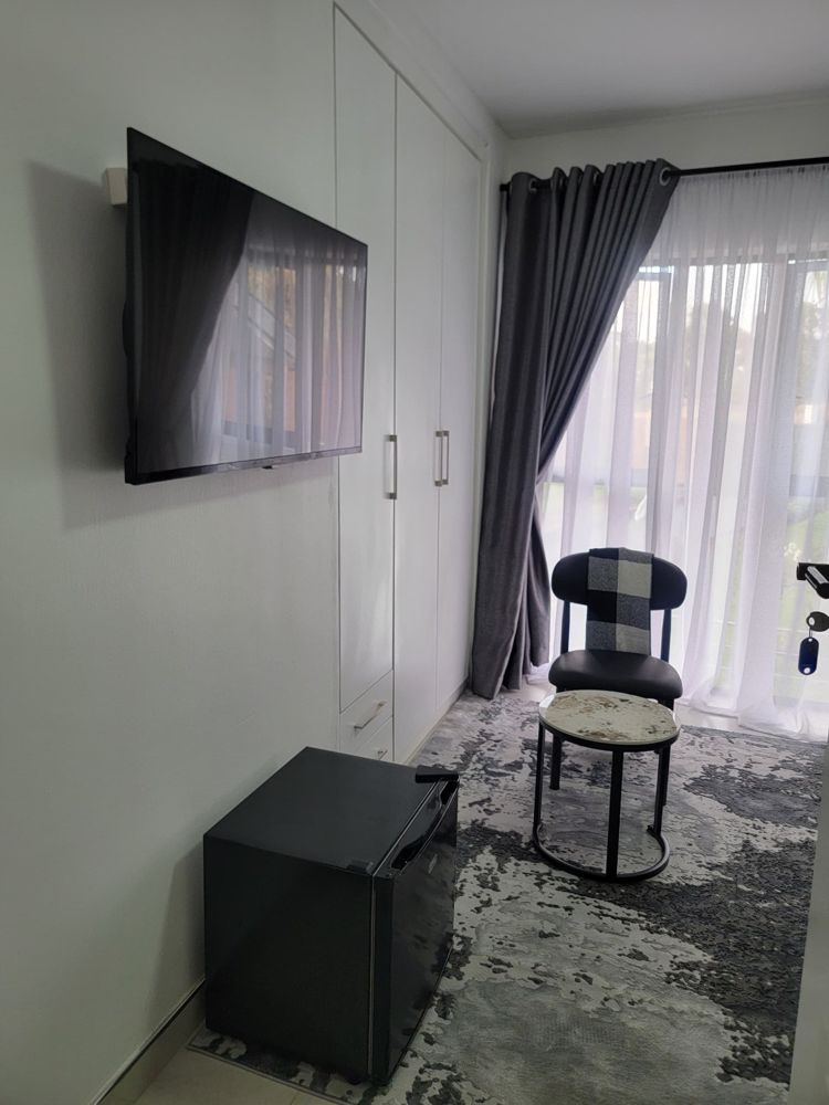 TV and fridge